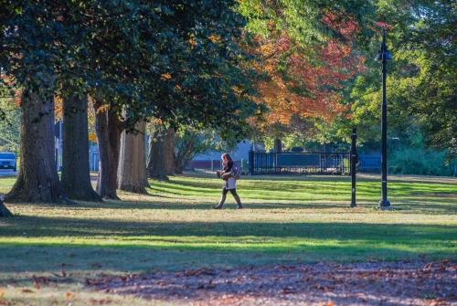 一个学生在秋天走在校园里