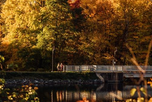 学生们在秋天穿过低池塘桥.